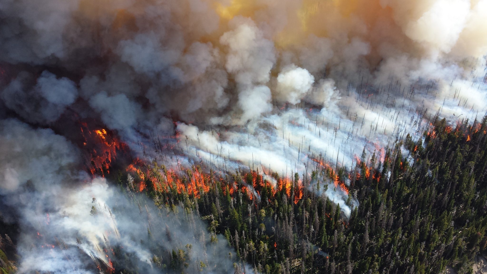 Smoke spreads from an ongoing wildland fire.